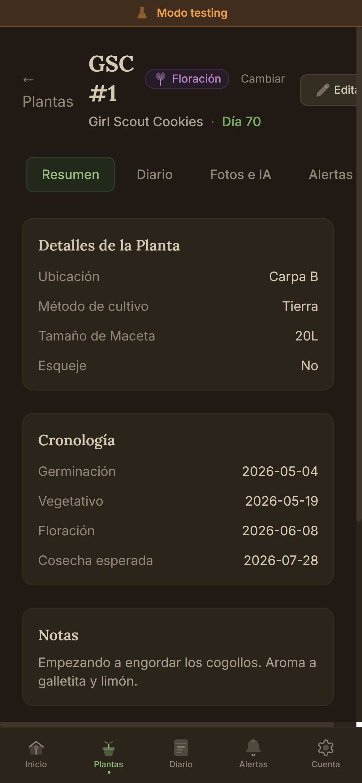 Detalle de planta